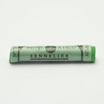 Pastel tendre à l'écu -  Vert de Chrome 229