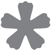 PERFO SQUEEZEXL FLEUR