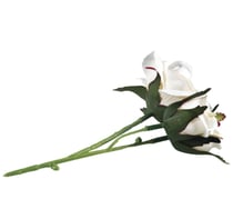 Tige rose - blanc - 15 cm