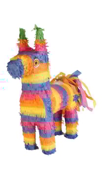 Pinata Ane