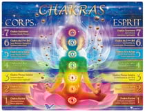 Planche illustrée - Planche des 7 Chakras