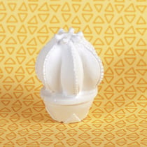 1 Plâtre CACTUS BOULE