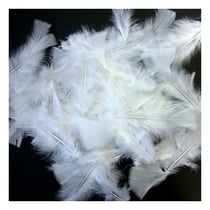 Plume 250g - blanc