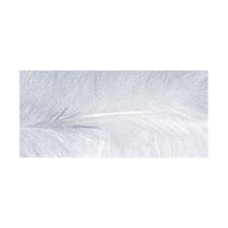 Sachet plumes blanches - 2g