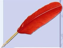PLUME OIE ANGLAISE PLUME OIE ANGLAISE
