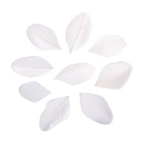 Plumes - blanc - 36 pièces - 6 cm