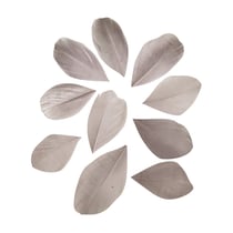 Plumes - gris clair - 36 pièces - 6 cm