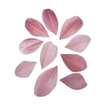 Plumes - rose antique - 36 pièces - 6 cm