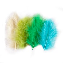Set de 40 plumes vertes - Créalia - 6 à 8 cm