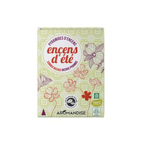 Pyramides d encens