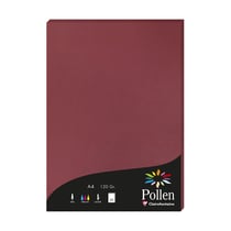 1 étui de 50 feuilles Pollen 210x297 mm 120g - Bordeaux