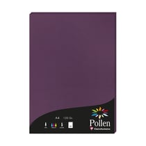 1 étui de 50 feuilles Pollen 210x297 mm 120g  - Cassis