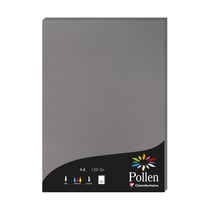 1 étui de 50 feuilles Pollen 210x297 mm 120g  - Gris acier