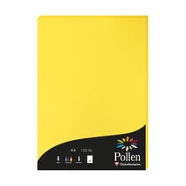 1 étui de 50 feuilles Pollen 210x297 mm 120g - Jaune soleil