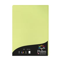 1 étui de 50 feuilles Pollen 210x297 mm 120g - Vert bourgeon
