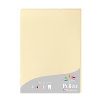 RAMETTE A4 210G CHAMOIS X25