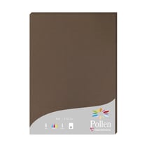 1 étui de 25 feuilles Pollen 210x297 mm 210g - Marron taupé