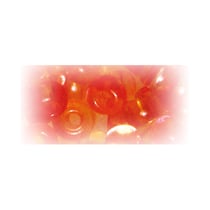 Perles de rocaille two tone - corail