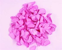 SACHET PETALES EN PAPIER 2.5CM SACHET PETALES EN PAPIER 2.5CM ROSE