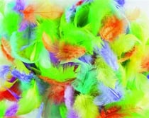 Sachet plumes couleurs assorties 10g