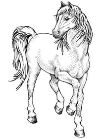 Tampon Bois Cheval Sautillant Tampon Bois Cheval Sautillant