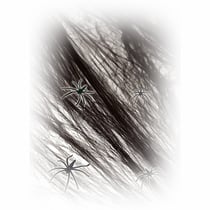 Toile d'araignée noire + 4 araignées