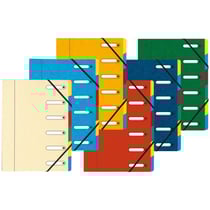 Trieur A4 21 x 29,7 cm Exacompta - 6 compartiments - Dos extensible - Harmonika - Modèles aléatoires - Vendu à l'unité