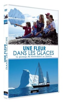 Une fleur dans les glaces