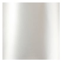 VINYLE LAQUE 25X45 ARGENT