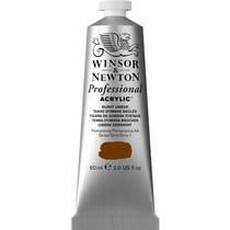 Professional Acrylic Colour- 60ml - tettre d'ombre brûlée - Winsor & Newton