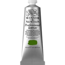 Professional Acrylic Colour- 60ml - vert vessie permanent - Winsor & Newton