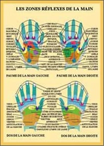 Planche illustrée - Zones réflexes des mains