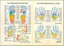Planche illustrée - Zones réflexes main et pied