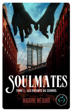 Les voleurs de New York