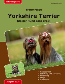 Traumrasse: Yorkshire Terrier - Kleiner Hund ganz groß!