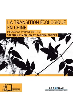 La transition écologique en Chine - Mirage ou « virage vert » ?