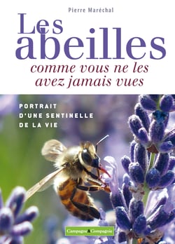 Les abeilles comme vous ne les avez jamais vues - Manipuler et contenir les bovins