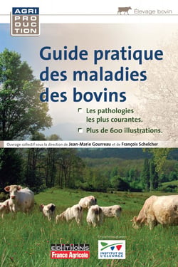 Guide pratique des maladies des bovins - La production du mouton