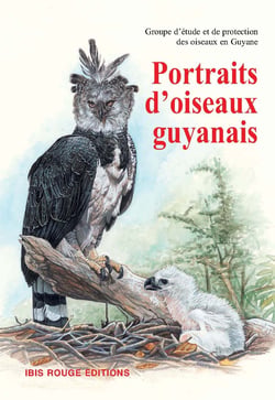 Portraits d'oiseaux guyanais