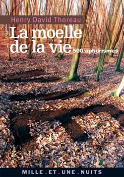 La Moelle de la vie - 500 Aphorismes