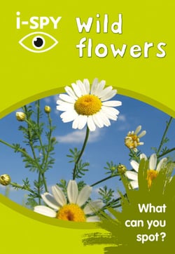 i-SPY Wild Flowers - What can you spot?