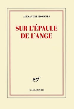 Sur l'épaule de l'ange