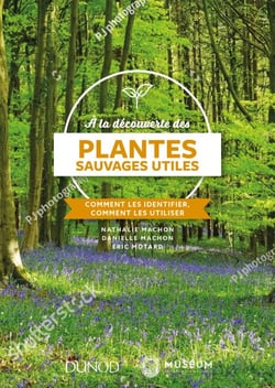 À la découverte des plantes sauvages utiles - Comment les identifier, comment les utiliser