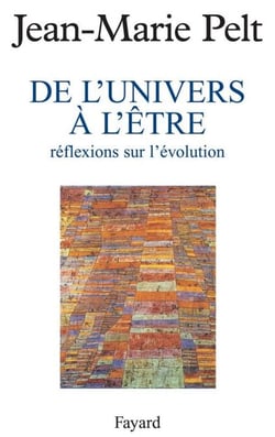 De l'Univers à l'être - Réflexions sur l'évolution