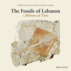 Les fossiles du Liban