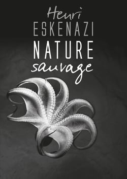 NATURE sauvage