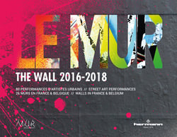 Le mur / The WALL (2016-2018) - 80 performances d'artistes urbains - 26 murs en France et Belgique