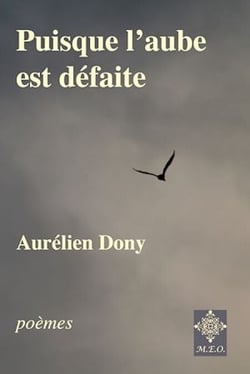 Puisque l'aube est défaite