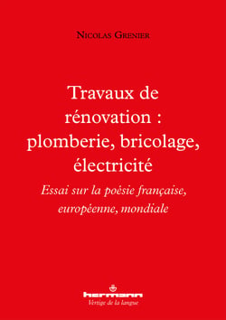 Travaux de rénovation : plomberie, bricolage, électricité - Essai sur la poésie française, européenne, mondiale