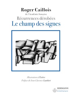 Le champ des signes - Récurrences dérobées